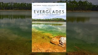 National Parks Exploration Series: Everglades