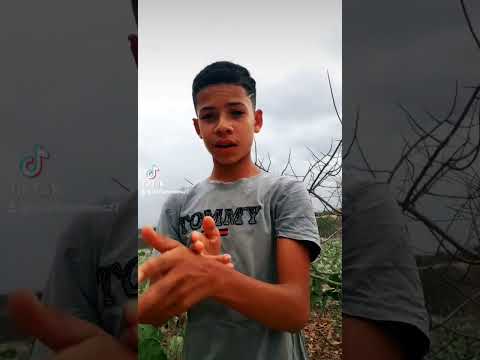 maldita perigosa a cara de anja e a mente maldosa