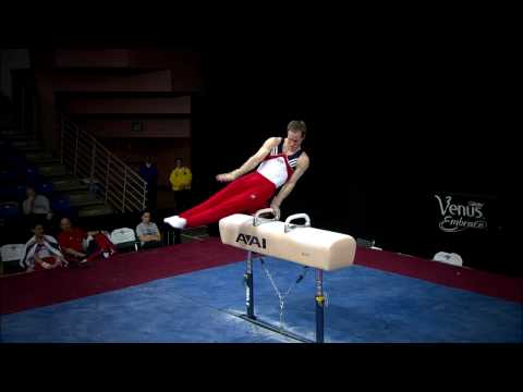 Paul Hamm Highlights - 2008 Pacific Rim Championships
