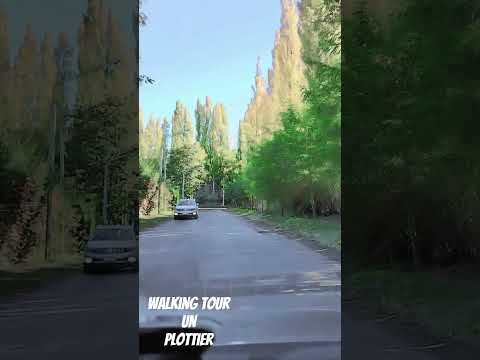 Walking tour in Plottier #plottier #neuquen