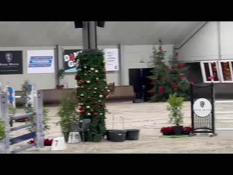 DHT 22-01-2026: Palmares van de Wildbaan, mare, 2020 by Conthargos