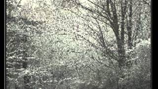 Carpathian Forest -  A World Of Bones