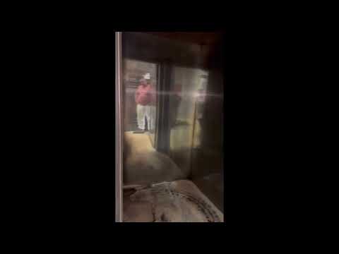 video 1, Four rotatif à Gaz 800x100 Techno d'Occasion