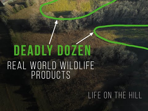 Deadly Dozen - RWWP Food Plot Seed & Update on 2021 Hunting Season