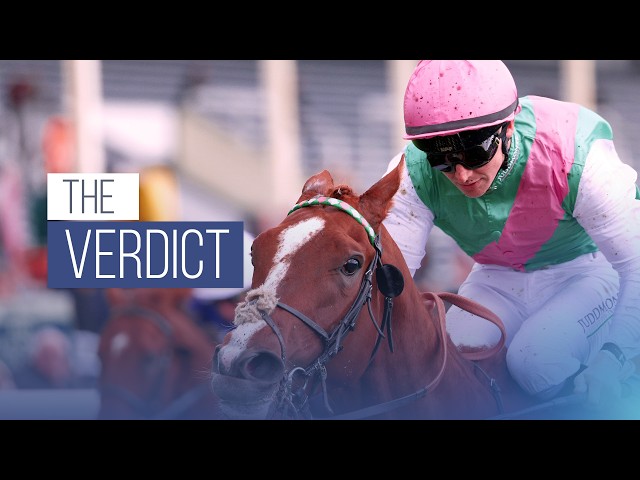 Thumbnail for Post ID: P8_sCYGaVbo