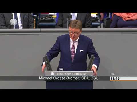 Michael Grosse-Brömer: Beschlussfassung über die Geschäftsordnung [Bundestag 24.10.2017]
