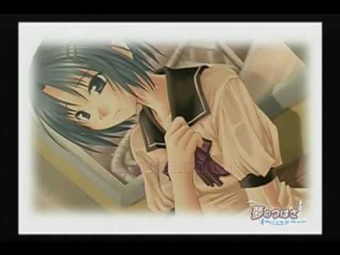 夢のつばさ -Fate of Heart-