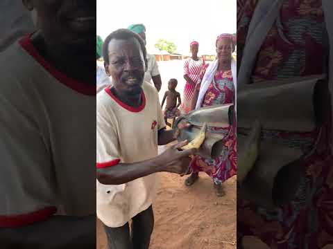 Traditional Mamprusi Instruments at a Durbar