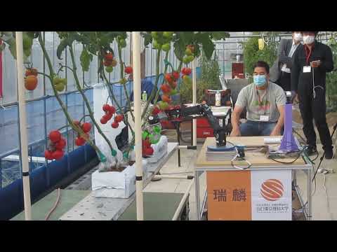 薬学科 山陽小野田市立山口東京理科大学 トマトロボット競技会