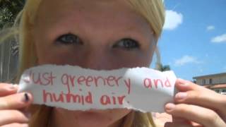 Summer Skin Death Cab For Cutie Lyrics