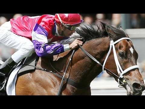 EMIRATES STAKES-8 NOV FLEMINGTON