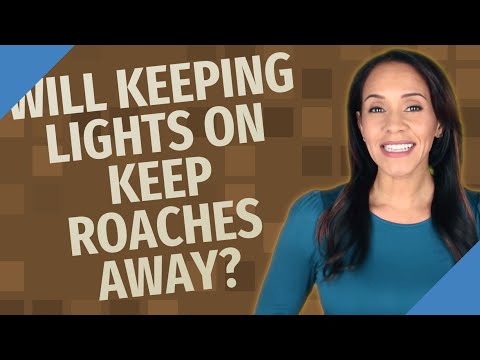 YouTube video about: Does leaving lights on deter cockroaches?