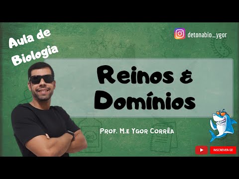 5 Reinos e 3 Domínios