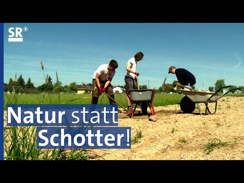 Wunderbare Gartenvielfalt: Vom Schottergarten zum Naturgarten & Bauerngärten im Wandel | Saar Natur