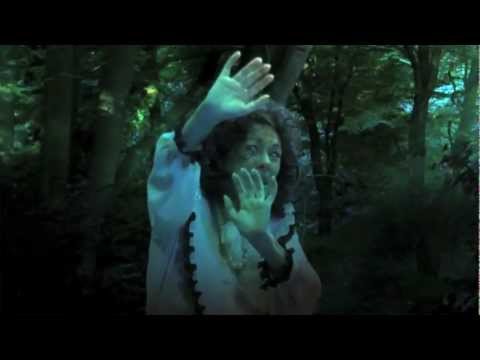 NIAN PROJECT - FOLIE PREVIEW