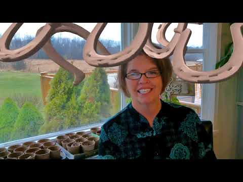 covid day12 Revelation #4 Seals open YIKES