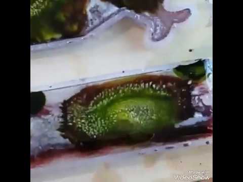 (12) Making Bookmarks with resin and alcohol ink