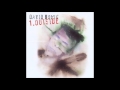 David Bowie - Wishful Beginnings