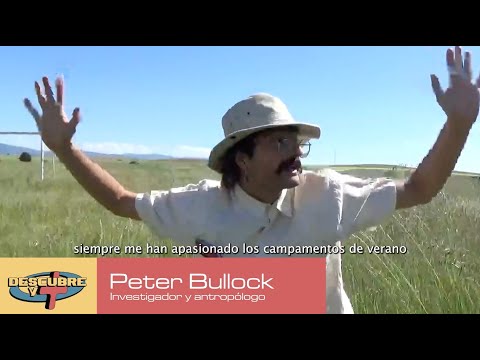 San Tosielo, Toldos Verdes - Sin ti (no quiero)