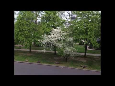 Sarah's Bike Tour Video