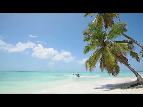 HAÏTI, LA TERRE NATALE