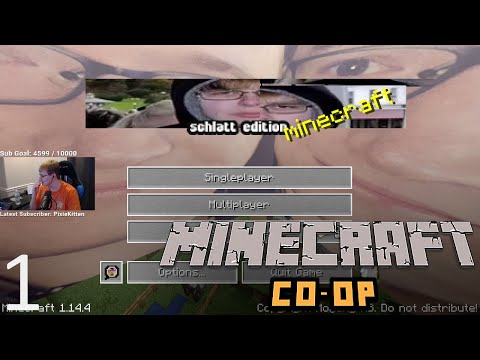 CallMeCarson VODS: Minecraft Co-op (Part One)