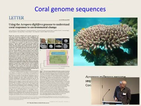 David Miller - Probing coral immunity based on genomics and transcriptomics
