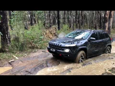 Cherokee Trailhawk & Toyota Prado 4wd in Wombat State Forrest