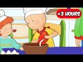 Caillou The Chef Full Episodes Caillou Compilations