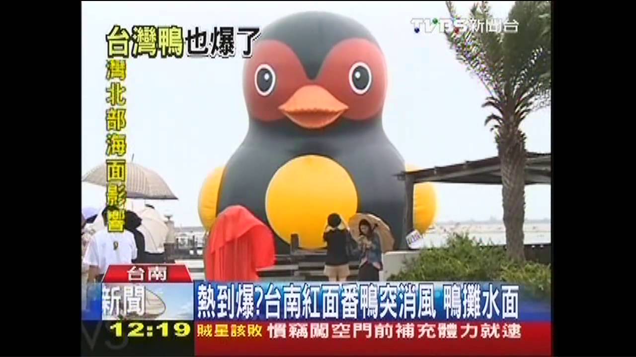 難耐炎熱爆開?紅面番鴨消風 鴨攤水面