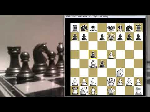 Pohlepni potez i mat pesakom - PONZIANI vs NN - Otvaranje Lovcem  # 367