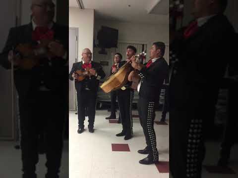 download lagu mp3 mp4 Mariachi Los Alteños, download lagu Mariachi Los Alteños gratis, unduh video klip Mariachi Los Alteños