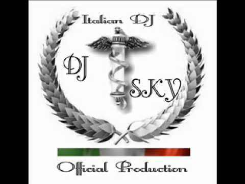 Martin Solveig feat  Dragonette   Hallo DjSky Bootleg