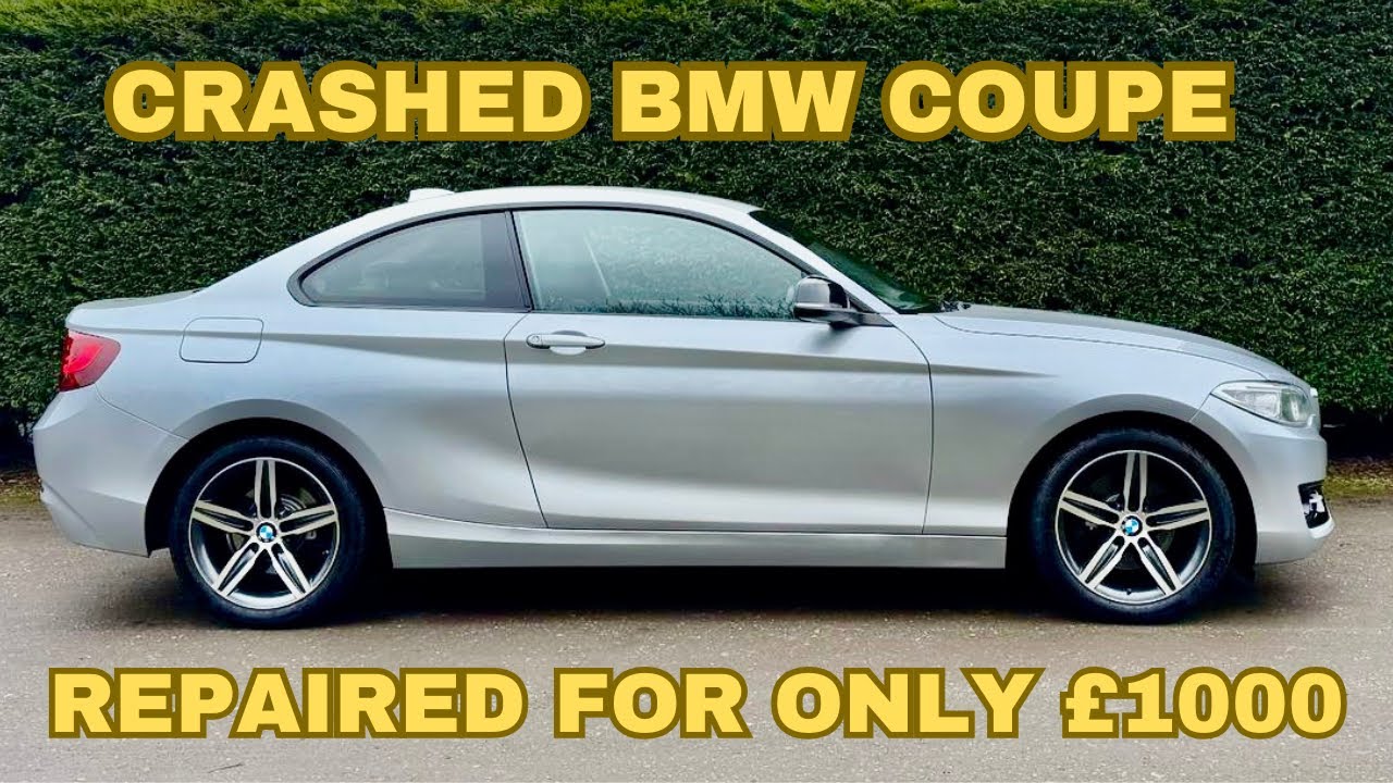 CAN YOU EARN MONEY BUYING CHEAP SALVAGE CARS FROM COPART?