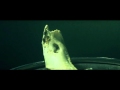 Mourning Beloveth - A Terrible Beauty is Born (Alternate Colour official video)