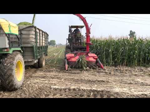 Fimaks Three Row Silage Harvester