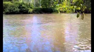 Enjoy It While You Can VR