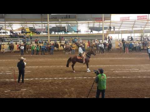 Matías Rubio y Cromed Mama