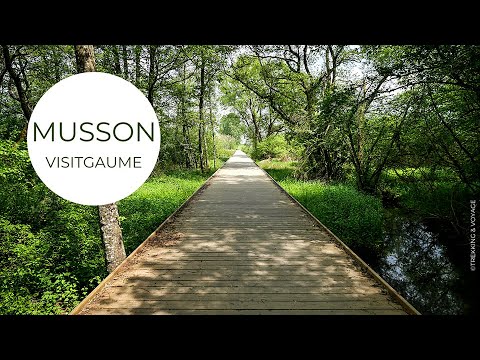 Visitez Musson !