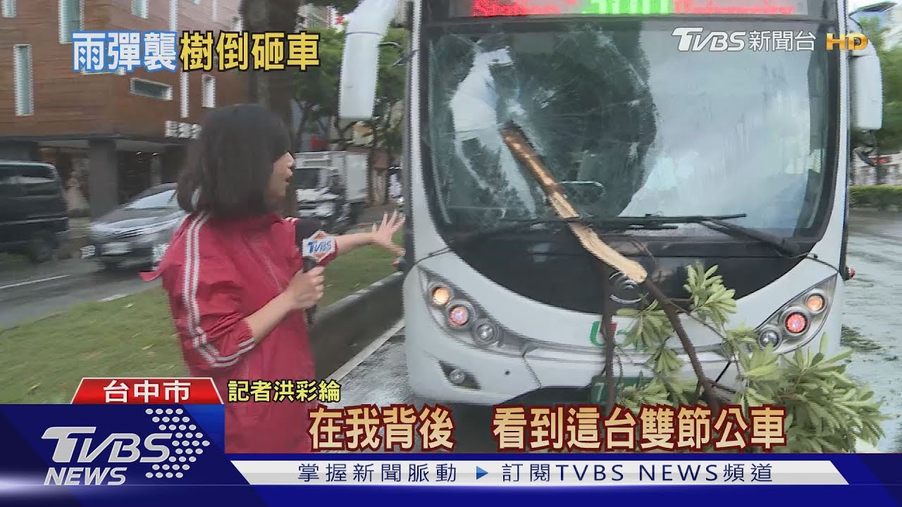 瞬間7級風台中路樹壓騎士 命中公車玻璃