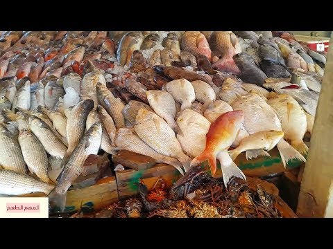 جولة فى سوق السمك بالغردقة تعالو شوفو الاسعار !!