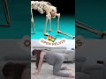 Did you see 🧐 WHAT STOPPED the BABY? 😲 #shorts - Fearless Momma Birth Did you see 🧐 WHAT STOPPED the BABY? 😲 #shorts