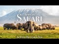 African Safari 4K Scenic Wildlife Film With African Music
