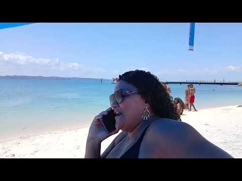 Festival do marisco Salinas da margarida 2025