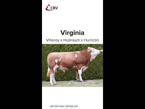 Virginia