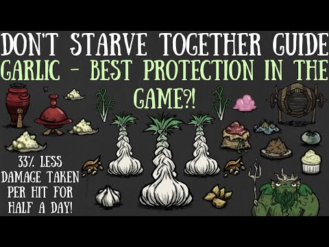 Don't Starve Together Guide: Garlic - Best Protection In The Game?! - Giant, Nutrients & More