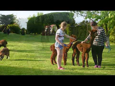 KORONA KASZUB Daleko od szosy