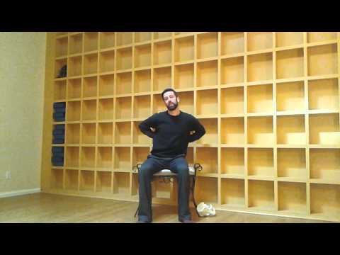 Embodied Anatomy - Kidney & Bladder embodiment