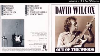 David Wilcox and the Teddy Bears - Hypnotizin' Boogie (Live 1978)