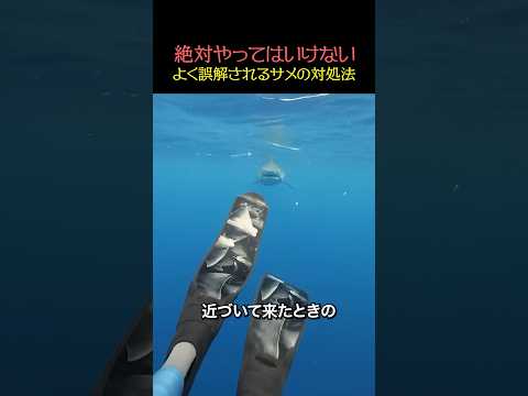 大きな間違いを犯した…